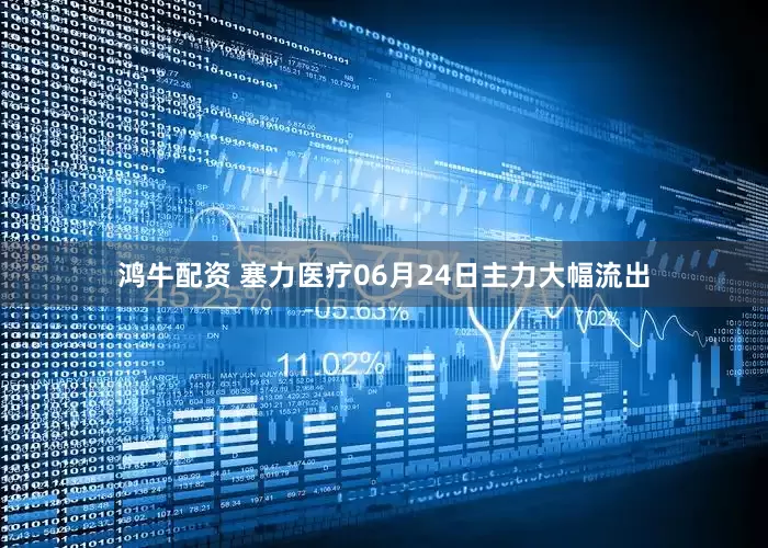鸿牛配资 塞力医疗06月24日主力大幅流出