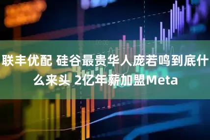 联丰优配 硅谷最贵华人庞若鸣到底什么来头 2亿年薪加盟Meta