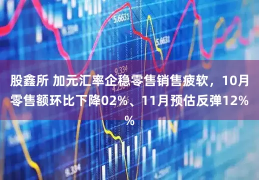 股鑫所 加元汇率企稳零售销售疲软，10月零售额环比下降02%、11月预估反弹12%