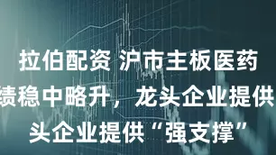 拉伯配资 沪市主板医药股首季业绩稳中略升，龙头企业提供“强支撑”
